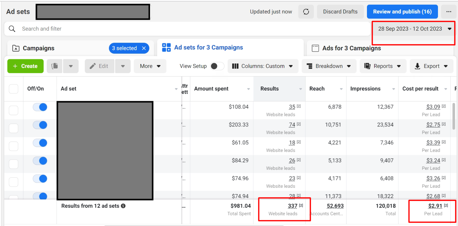 Anonymised Meta Ads ad-set report for a dental website-lead campaign