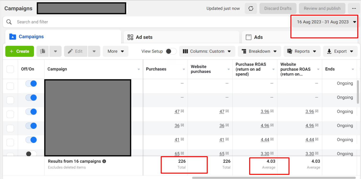 Anonymised Meta Ads campaign report showing conversion value and return on ad spend